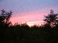 Sunset2.jpg (418011 bytes)
